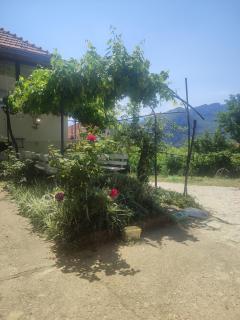 Vila Ružica - Sićevo - 9