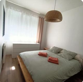 Chambre cosy avec salle de bain privative - Le Mans - 1