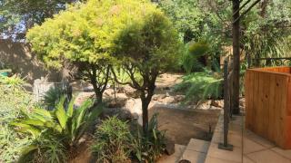 At the Well - Boksburg - 5