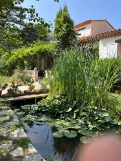 LE CHÊNE ET L'EAU - Roquebrune-sur Argens - 9