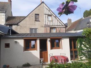 Gite Maisonnette avec terrasse - hyper centre Amboise - 1