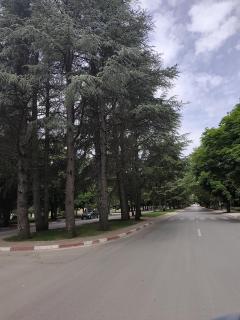 Super appartement - Ifrane - 2