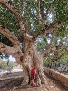 Awaken Your Divine Self Sacred Self Discovery Retreat in Ayia Napa Cyprus - Ayia Napa - 2