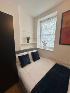 Lovely 2 Bedroom Flat in Kings Cross St Pancaras - 3