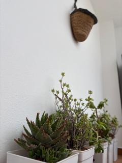 Casa Mariquilla - 2