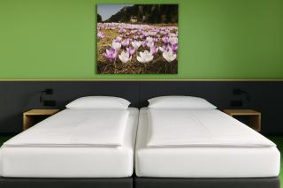 Hotel Simader - Bad Gastein - 6