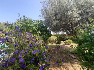 Villa Marie - Draguignan - 4