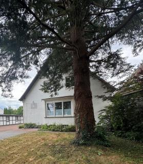 Pension Werre Stern - Bad Oeynhausen - 6