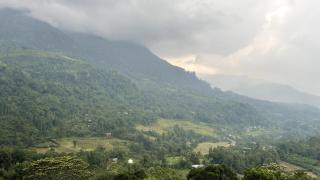ThisTest - Nuwara Eliya - 1