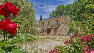 Charming converted Mill with Private Swimming Pool - Forcalqueiret - 7