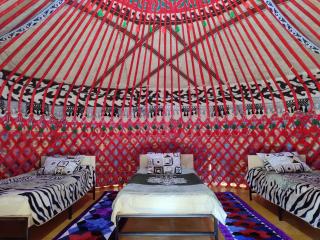 Yurt Camp Town of heavenly mountains " Kyz Zhibek" - Dzhetyoguz - 0