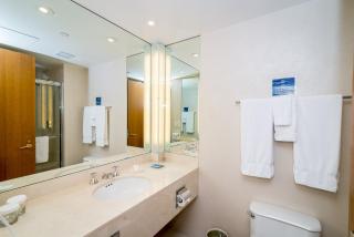 Windrose on Hudson - Ossining - 1