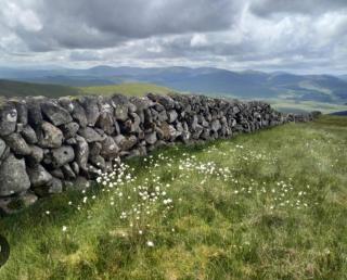 Granite House - Carsphairn - 6