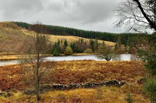 Granite House - Carsphairn - 3