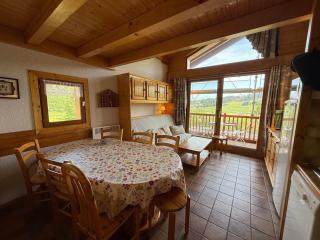 Appart cosy 4-6 pers, balcon sud, animaux ok, Les Saisies - FR-1-293-133 - Les Saisies - 3
