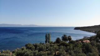 idaolea ASSOS - Ayvacık - 3