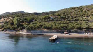 idaolea ASSOS - 6