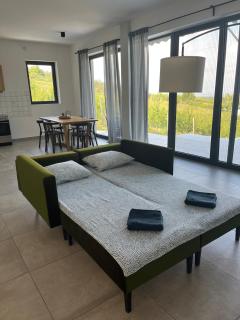 Cheerful 3 bedroom villa with pool in nature - Bukovac - 2