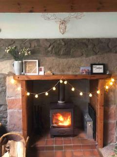 Corlae Cottage, mountain and forest views - Carsphairn - 9