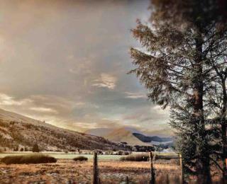 Corlae Cottage, mountain and forest views - Carsphairn - 0