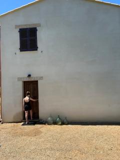 Casa di l’alivi - Santa-Reparata-di-Balagna - 7