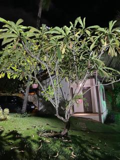 Apartamento Pimenta Rosa, 400m do mar, rua principal - 8