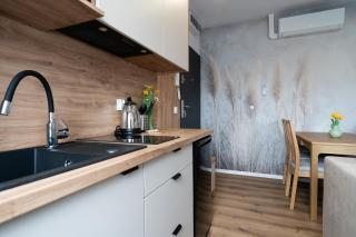 Flow Apartments - Świętego Pawła 10 - Kattowitz - 4