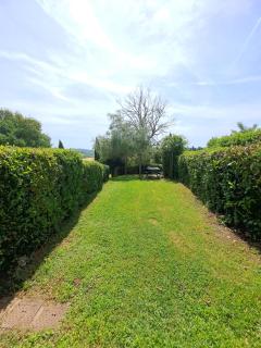 Appartamento in Fortilizio XI secolo immerso nel verde - Rapolano Terme - 7