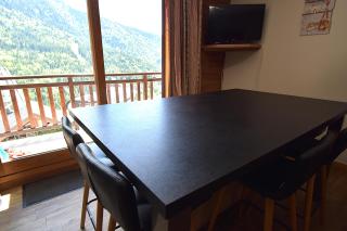 VAUJANYLOCATIONS - Silenes04 - Vaujany - 9