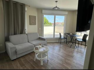 Appartement 45m2 vue Marne grande terasse - Meaux - 8