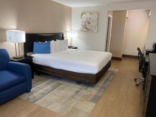 Stanford Inn & Suites Anaheim - Anaheim - 8