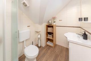APARTMA KOŠNIK - 5