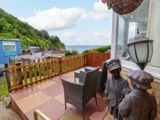 Zide the Zea - Ilfracombe - 0