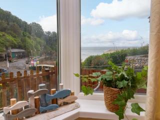 Zide the Zea - Ilfracombe - 6