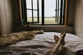 The Wild Cherry Hideaway - Thorney - 2