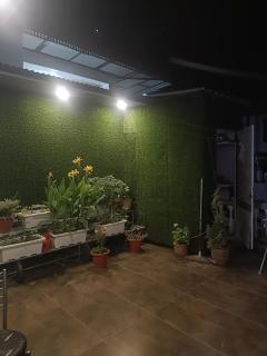 Raj guest house - Jāmb - 4