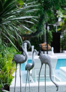 Blue Bird Palace- Grand Pool Villa in Nimaan - Chiang Mai - 4