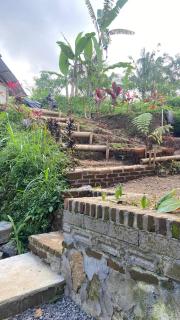 Ananda Bungalow Tetebatu - Tetebatu - 6