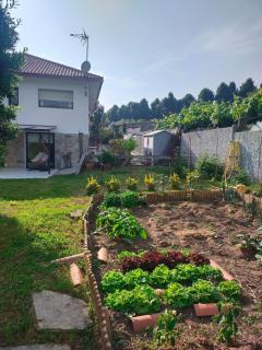 Fonte da Arrigada - 5