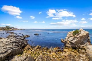 3965 Marine Gardens Duplex - Pacific Grove - 5
