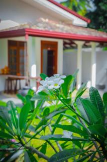 Villa Rangalla - Hikkaduwa - 2