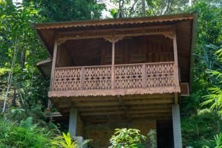 Orangutan Lodge and Jungle Trekking Activity - Bukit Lawang - 0