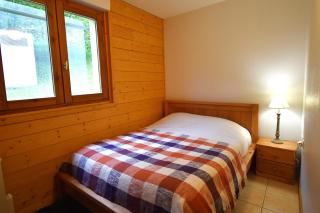 VAUJANYLOCATIONS - VerneyA3 - Vaujany - 5