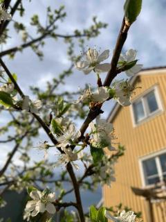 Villa in Bromma 5 min from Subway - Stoccolma - 1