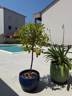 Villa Vida, Medulin - Bazen i jacuzzi - 7