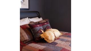 Fred Lambert - Historic Hotel - 6
