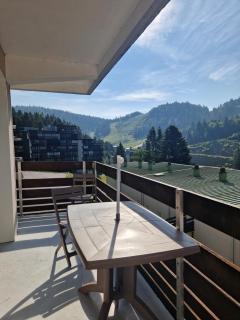 La Bresse OURSON - La Bresse - 9
