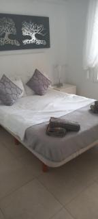 Casa JC - Orihuela - 7