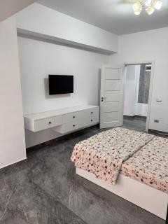 Apartament 3 camera Dem Radulescu H&H - Râmnicu Vâlcea - 2