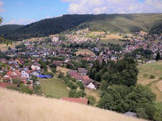 Gemütliche Ferienwohnung In Baiersbronn - Baiersbronn - 9